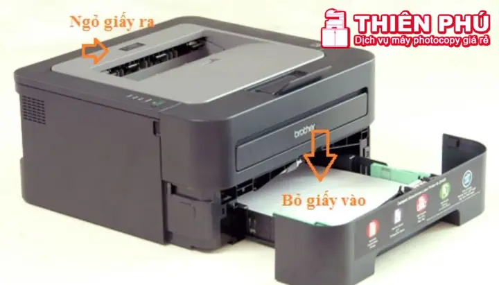 Cách Bỏ Giấy Vào Máy In Hp Đơn Giản, Nhanh Chóng Cho Mọi Dòng Máy Cách Bỏ Giấy Vào Máy In Hp Đơn Giản, Nhanh Chóng Cho Mọi Dòng Máy