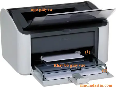 Hướng Dẫn Chi Tiết Cách Đặt Giấy Vào Máy In Canon 2900 Đúng Cách Hướng Dẫn Chi Tiết Cách Đặt Giấy Vào Máy In Canon 2900 Đúng Cách