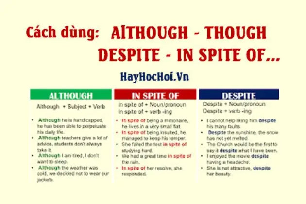 Phân Biệt Chi Tiết "although, In Spite Of, Because, Because Of" Và Cách Dùng Phân Biệt Chi Tiết "although, In Spite Of, Because, Because Of" Và Cách Dùng