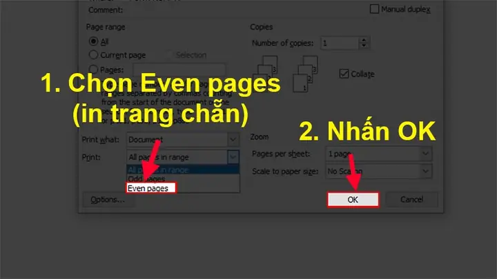 Hướng Dẫn Chi Tiết Cách In 1 Mặt Trong Word 2007 Nhanh Chóng