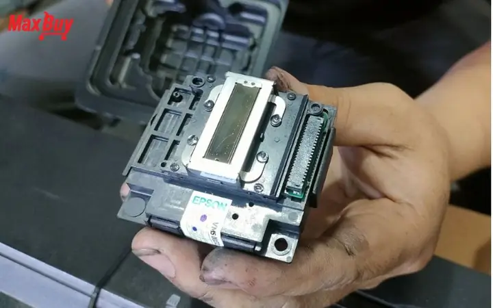 Cách In Ảnh Đẹp Bằng Máy In Epson L805 Chuẩn Màu, Nét Từng Chi Tiết Cách In Ảnh Đẹp Bằng Máy In Epson L805 Chuẩn Màu, Nét Từng Chi Tiết