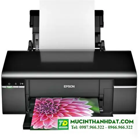 Cách In Ảnh Đẹp Bằng Máy Epson T60: Hướng Dẫn Chi Tiết & Mẹo Tối Ưu