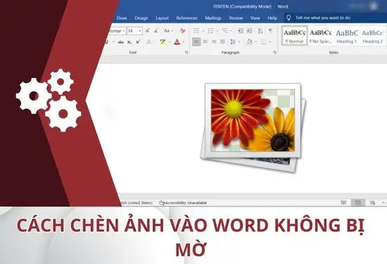 Cách In Ảnh Không Bị Mờ Chất Lượng Cao Như Ý