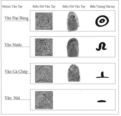 Hướng Dẫn Cách In Dấu Vân Tay Đơn Giản & Ứng Dụng Thực Tế Hướng Dẫn Cách In Dấu Vân Tay Đơn Giản & Ứng Dụng Thực Tế