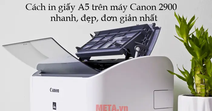 Hướng Dẫn Chi Tiết Cách In Giấy A5 Trên Máy Canon 2900 Hướng Dẫn Chi Tiết Cách In Giấy A5 Trên Máy Canon 2900