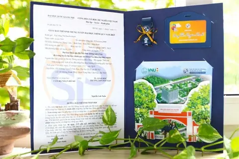 Hướng Dẫn Chi Tiết Cách In Giấy Báo Nhập Học Trực Tuyến Và Chuẩn Bị Hồ Sơ Hướng Dẫn Chi Tiết Cách In Giấy Báo Nhập Học Trực Tuyến Và Chuẩn Bị Hồ Sơ