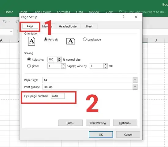 Hướng Dẫn Chi Tiết Cách In Theo Số Trang Cụ Thể Trong Excel Hướng Dẫn Chi Tiết Cách In Theo Số Trang Cụ Thể Trong Excel