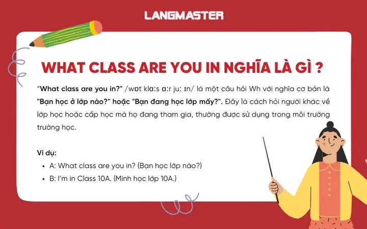 Cách Trả Lời Câu Hỏi "which Class Are You In?" Chuẩn Xác & Tự Nhiên