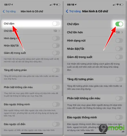 Hướng Dẫn Cách Viết Chữ In Đậm Trên Iphone Dễ Dàng Nhất
