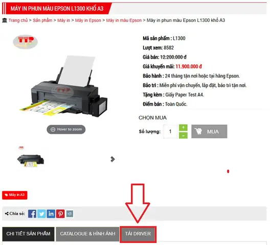 Hướng Dẫn Chi Tiết Tải Và Cài Đặt Driver Máy In Epson L1300