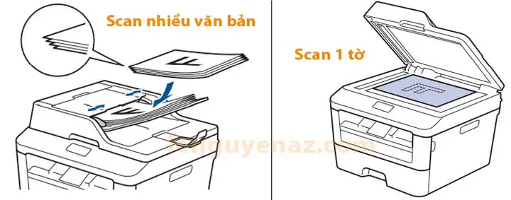 Hướng Dẫn Scan Máy In Brother Mfc-l2701dw Chi Tiết: Cách Thực Hiện Nhanh Chóng