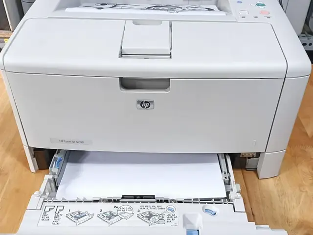 Máy In A3 Đen Trắng Cũ: Hướng Dẫn Chọn Mua Và Lưu Ý Quan Trọng