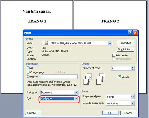Hướng Dẫn In 2 Mặt Máy In Canon 2900: Khắc Phục Hạn Chế & Mẹo Hiệu Quả Hướng Dẫn In 2 Mặt Máy In Canon 2900: Khắc Phục Hạn Chế & Mẹo Hiệu Quả
