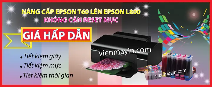 Máy In Epson L800 Nháy 2 Đèn: Nguyên Nhân & Cách Khắc Phục Triệt Để