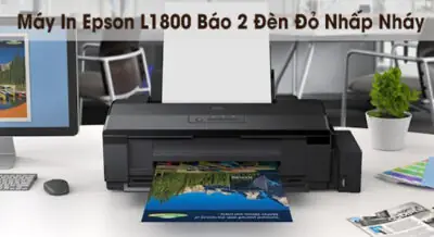 Máy In Epson L800 Nháy 2 Đèn: Nguyên Nhân & Cách Khắc Phục Triệt Để