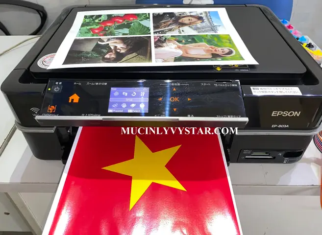 Máy In Hình Thẻ Nào Tốt Nhất: Review & Tư Vấn Chọn Mua 2025