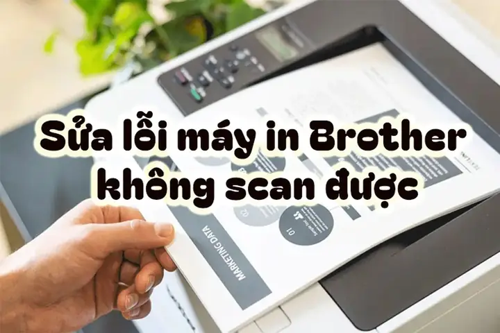 Máy In Không Scan Được: Nguyên Nhân & Cách Khắc Phục Lỗi Nhanh Chóng