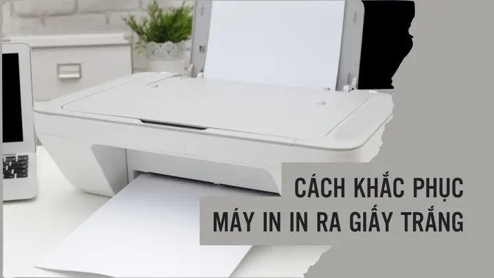 Máy In Ra Giấy Trắng: Nguyên Nhân, Cách Khắc Phục Hiệu Quả & Lỗi Thường Gặp