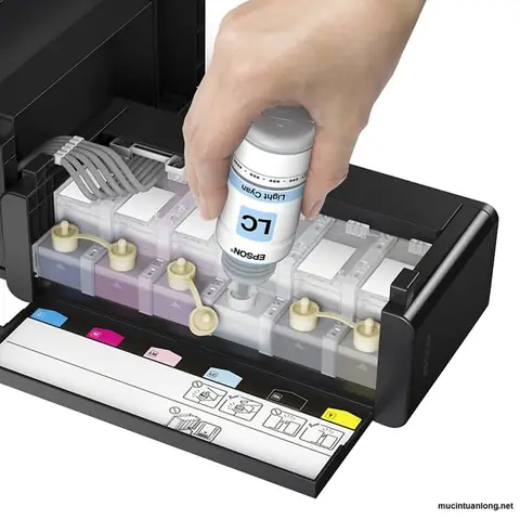Hướng Dẫn Chi Tiết Cách Nạp Mực Máy In Epson L805 Tại Nhà & Lưu Ý Quan Trọng