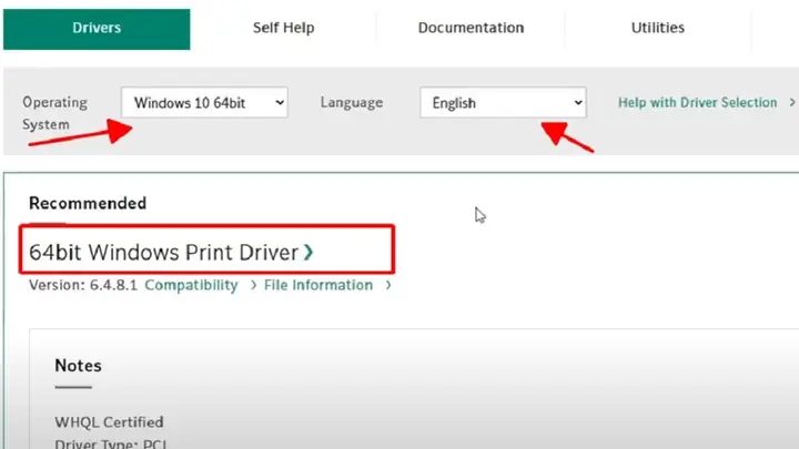 Hướng Dẫn Tải Và Cài Đặt Driver Máy In Fuji Xerox Chi Tiết, Dễ Dàng