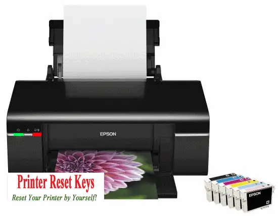Hướng Dẫn Chi Tiết Reset Máy In Epson L365: Phần Mềm & Khắc Phục Lỗi Tràn Bộ Nhớ